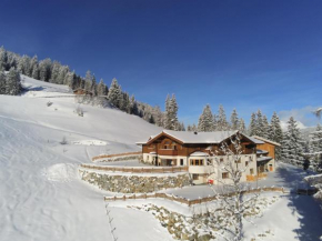 Stegerhof App. Dachstein